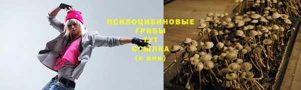 2c-b Абинск