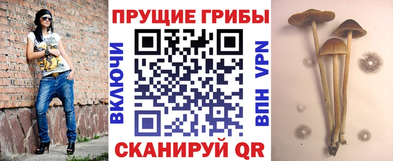 Псилоцибиновые грибы Magic Shrooms  Киржач 